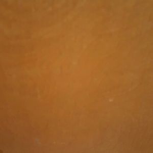 Meet your Posher, Teri