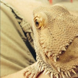 Meet your Posher, Logan