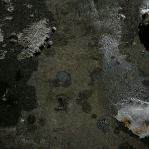 Meet your Posher, Deandre