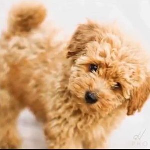 Thanks for visiting KWynn's closet!