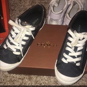 Coach shoes