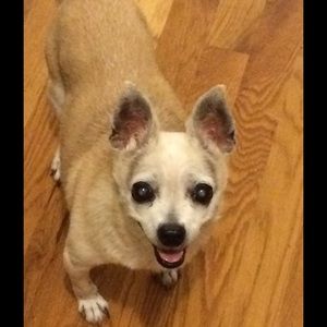 Meet your Posher, Monica