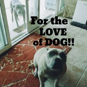 ***Charity Donation Items Now Available***
