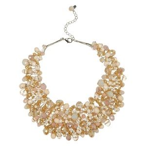 ISO this Aldo statement collar bib necklace