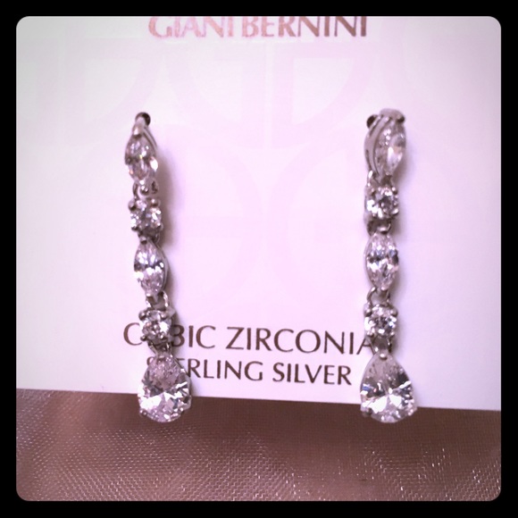 NWT! Beautiful Earrings