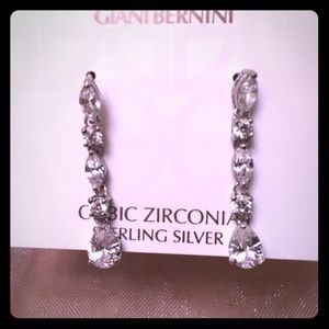 NWT! Beautiful Earrings