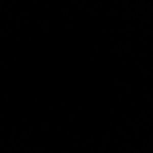 Meet your Posher, Jane