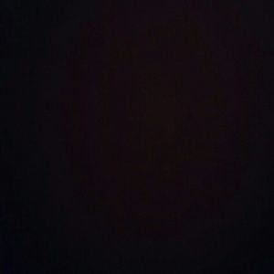 Meet your Posher, Sophia