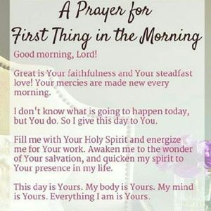 Meet your Posher, Dina