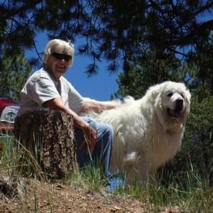 Meet your Posher, Joan