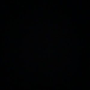 Meet your Posher, Wendell