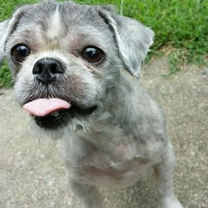 Meet your Posher, Lindsey