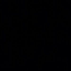 Meet your Posher, Faolan