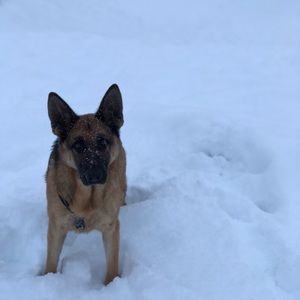 Meet your Posher, Marta