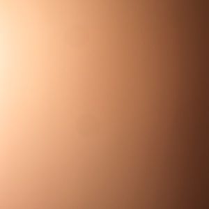 Meet your Posher, Ivy