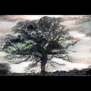 Meet your Posher, Dwane