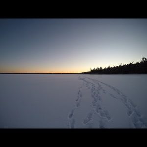 Meet your Posher, Eileen