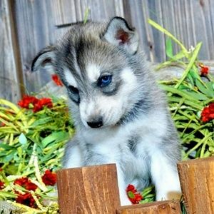 Meet your Posher, Genney