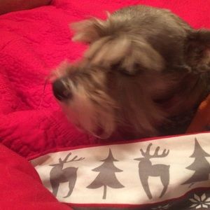 Meet your Posher, Marlene