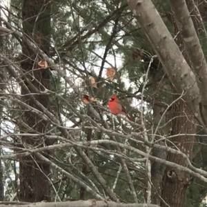 Meet your Posher, Dawn marie