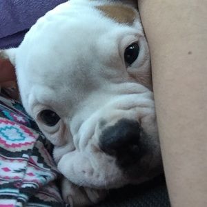 Meet your Posher, Georgia