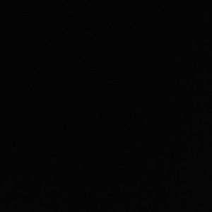 Meet your Posher, Delaney