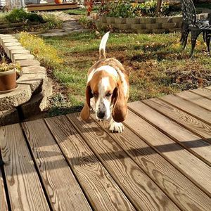 Meet your Posher, Robert