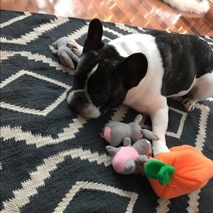 Meet your Posher, Sigrun