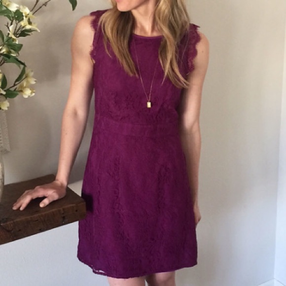 BRAND NEW Brixon Ivy Purple Lace Dress