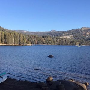 Meet your Posher, Shelly