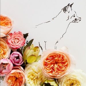 Meet your Posher, Mikayla