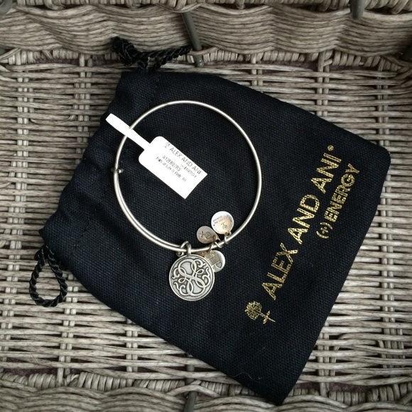 Alex and Ani Path of Life bracelet