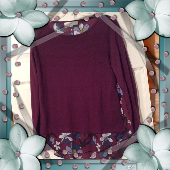 Gorgeous Loft two-in-one sweater