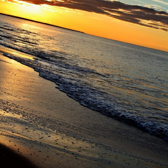 Meet your Posher, Jenny - Picture 1 of 1