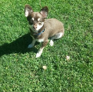 Meet your Posher, Tanya