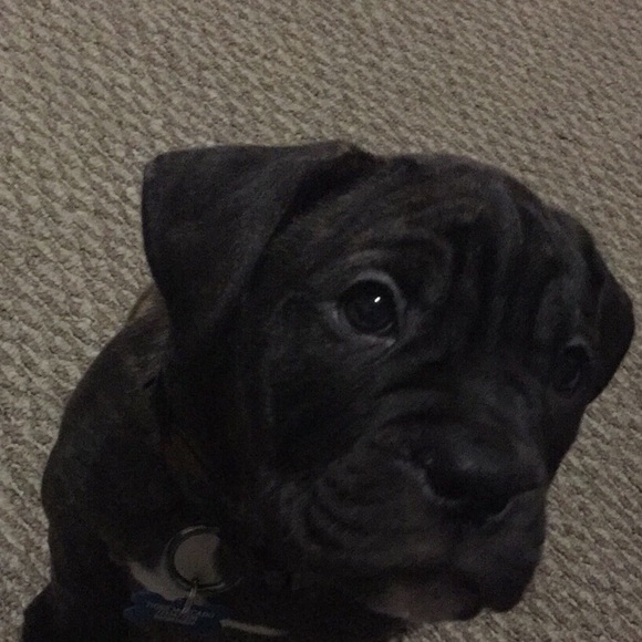 Meet your Posher, Karla