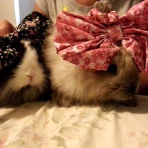 Meet your Posher, Monique