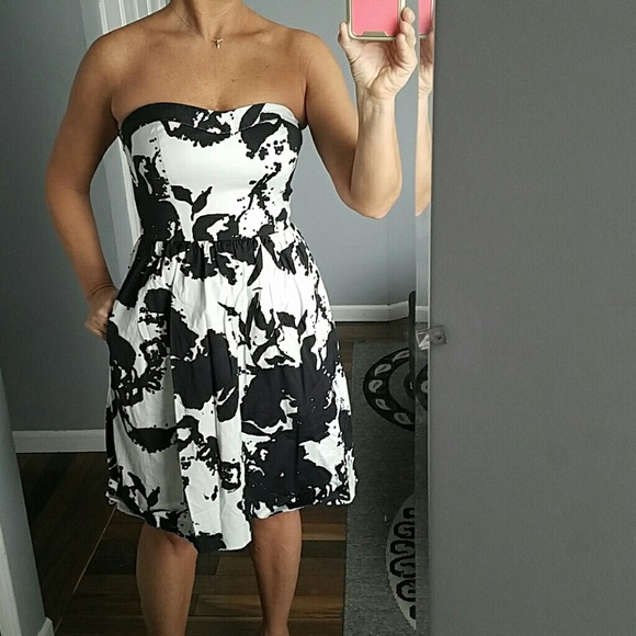 The Limited fit and flair dress