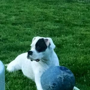 Meet your Posher, Wanda