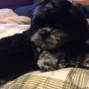 Meet your Posher, Ha