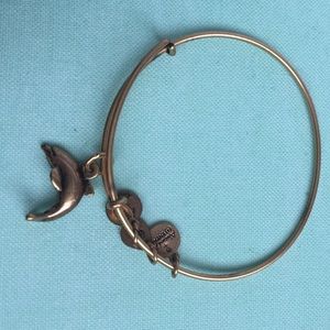 Dolphin Alex and ani