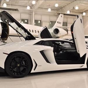 Meet your Posher, Elsa