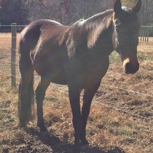 Meet your Posher, Norma