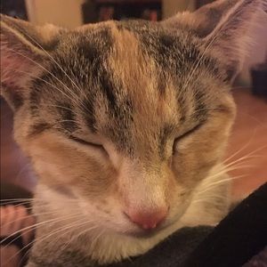 Meet your Posher, Cathy