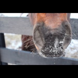 Meet your Posher, Monica