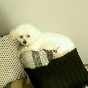 Meet your Posher, Michelle