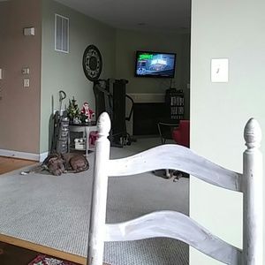 Meet your Posher, Thomas