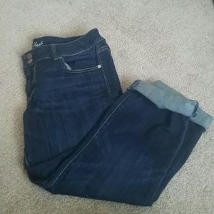 AM Eagle artist capris LIKE NEW