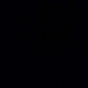 Meet your Posher, Sidney