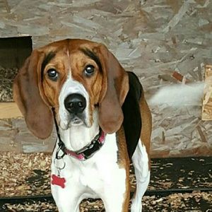 Meet your Posher, Ellie